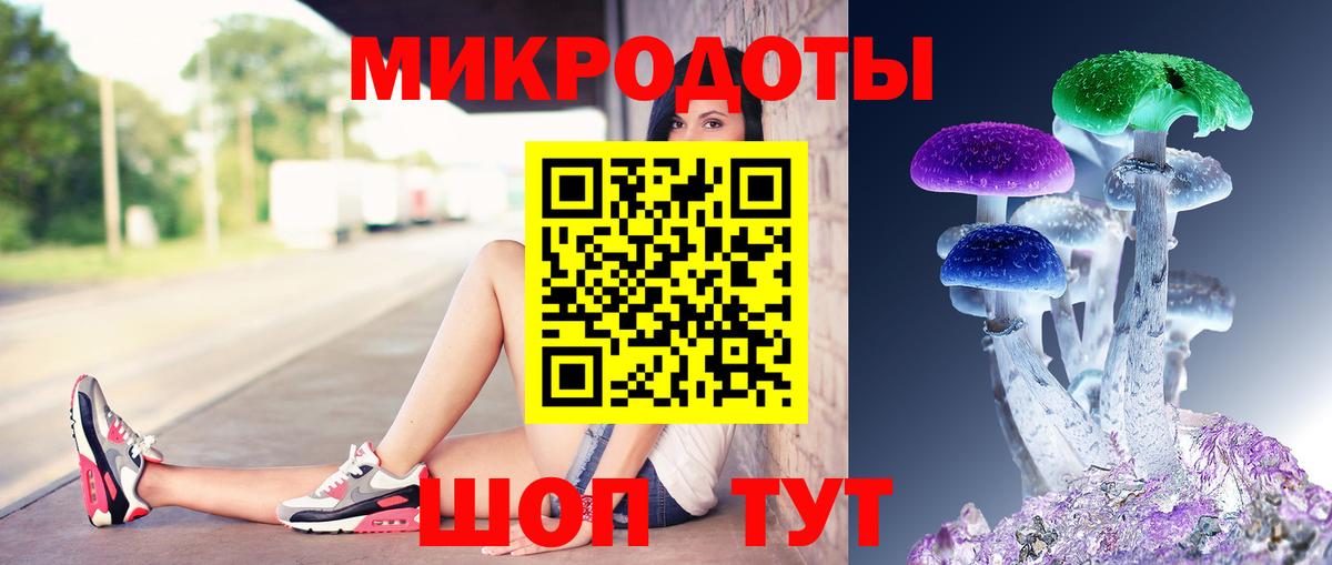 Галлюциногенные грибы Psilocybine cubensis Псков